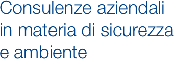 Consulenze aziendali 
in materia di sicurezza 
e ambiente